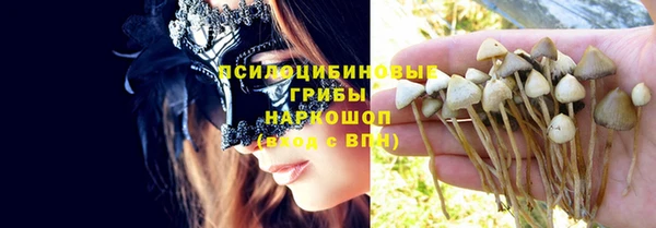 круглые Няндома