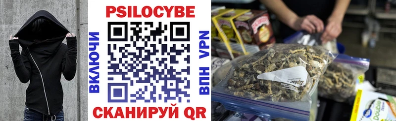 цены наркотик  Моздок  Галлюциногенные грибы Psilocybe 