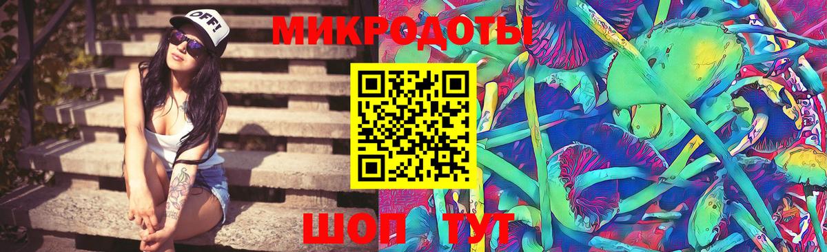 Моздок  Псилоцибиновые грибы мицелий  Вход с VPN 